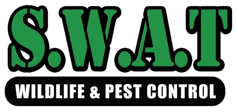 SWAT Wildlife & Pest Control
